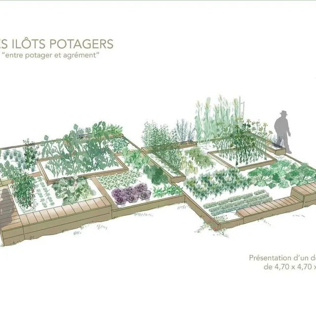 Une partie du jardin devrait ressembler à ceci. DR photo une partie du jardin devrait ressembler à ceci. © dr