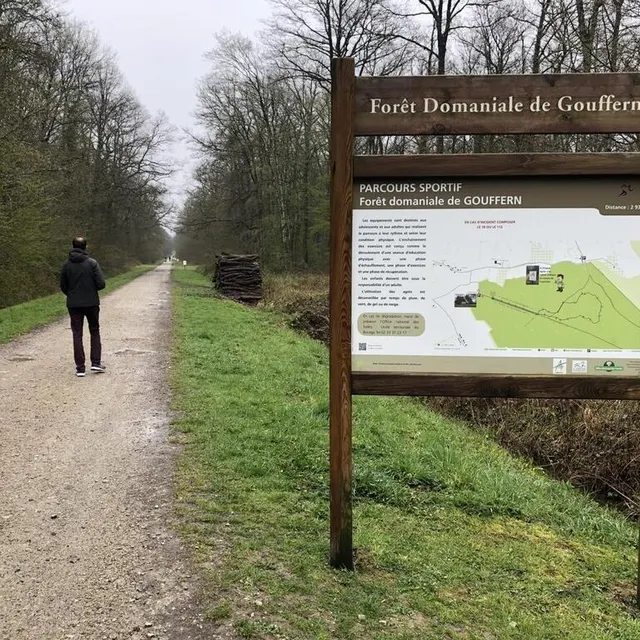 photo une balade en forêt de gouffern-en-auge pour se défouler.  ©  ouest-france