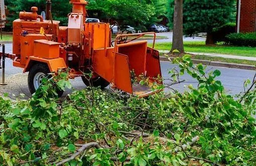 photo  samedi 24 avril, venez avec vos déchets verts à cerisé, ils seront broyés.  &copy;  getty images/istockphoto 