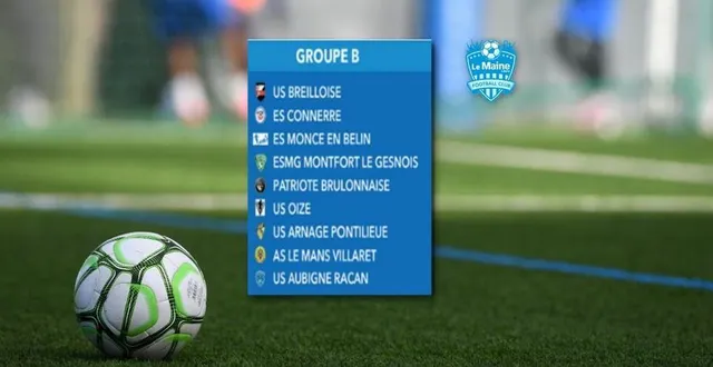 photo  neuf équipes sarthoises sont en lice dans le concours du maine libre football club. pour laquelle allez-vous voter ?  &copy;  le maine libre 