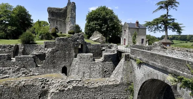 photo  les vestiges du château de domfront-en-poiraie, dans l’orne.  &copy;  archives stéphane geufroi 