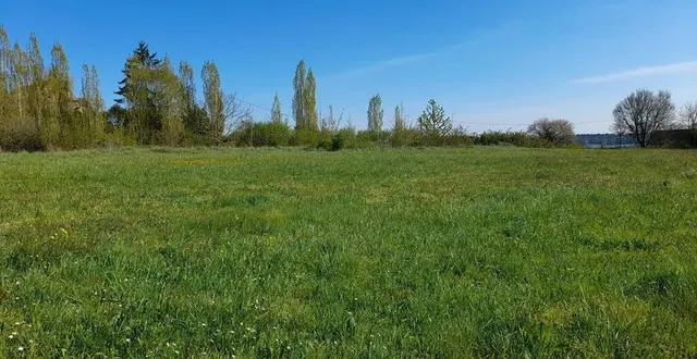 photo  ce terrain doit accueillir le lotissement « les hauts de vincennes ».  &copy;  le maine libre 