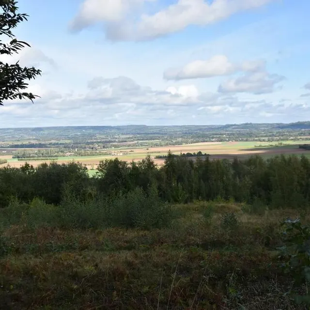 photo le panorama depuis la motte castrale sainte-eugénie dans la forêt de grande gouffern.  ©  ouest-france