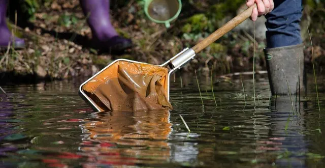photo  à la découverte des habitants de la mare, mardi.  &copy;  cpie 