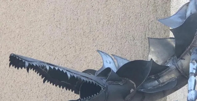 photo  le retour de la velue…  &copy;  le maine libre 