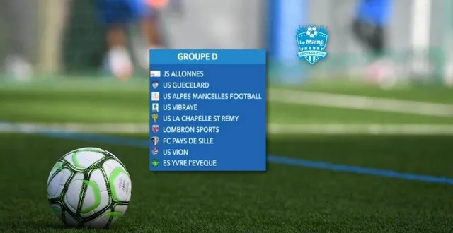 photo  neuf équipes sont en lice dans le groupe d du tournoi virtuel lancé par le maine libre football club. pour laquelle allez-vous voter ?  &copy;  illustration le maine libre 
