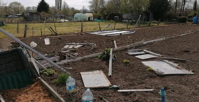 photo  le coup de vent a abîmé une parcelle des jardins.  &copy;  jardinier sarthois section fertoise 