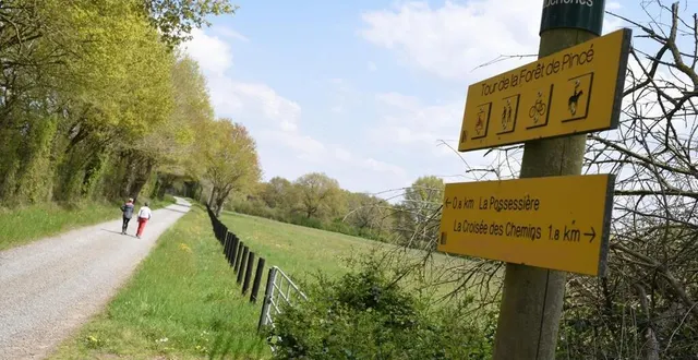 photo  le tour de la forêt de pincé offre une balade de 16 km en pleine nature.  &copy;  le maine libre 