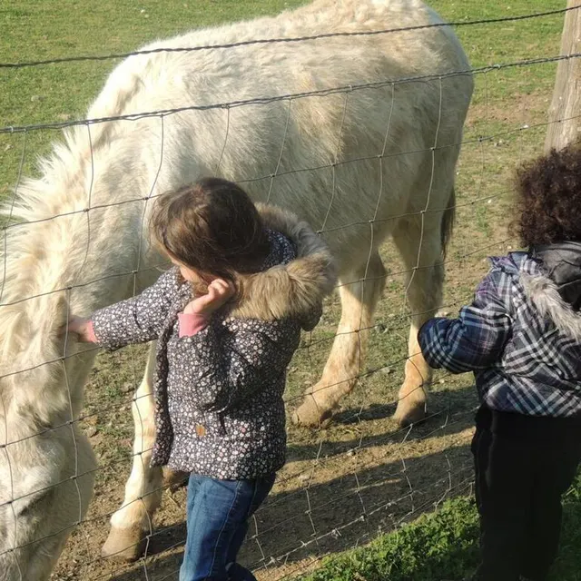 photo le parc animalier à auvers-le-hamon.  ©  le maine libre