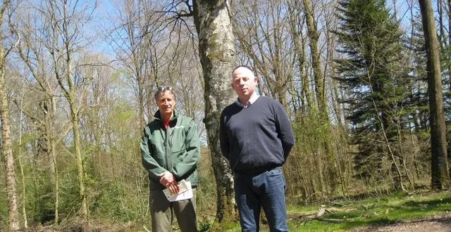 photo  christian clément, responsable de l’unité territoriale du bocage à l’office national des forêts (onf), et didier simon, directeur de l’epic (établissement public à caractère industriel et commercial) devant le hêtre à la vierge qui sera abattu au mois de juin.  &copy;  ouest-france 