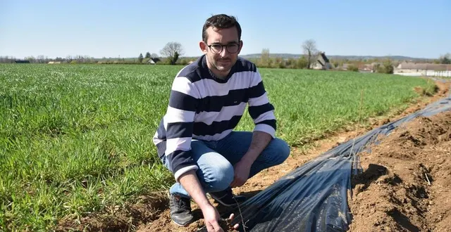 photo  luc bertrand près de la haie qui vient d’être plantée. la bâche noire est le « paillage » qui permet de garder l’humidité.  &copy;  ouest-france 