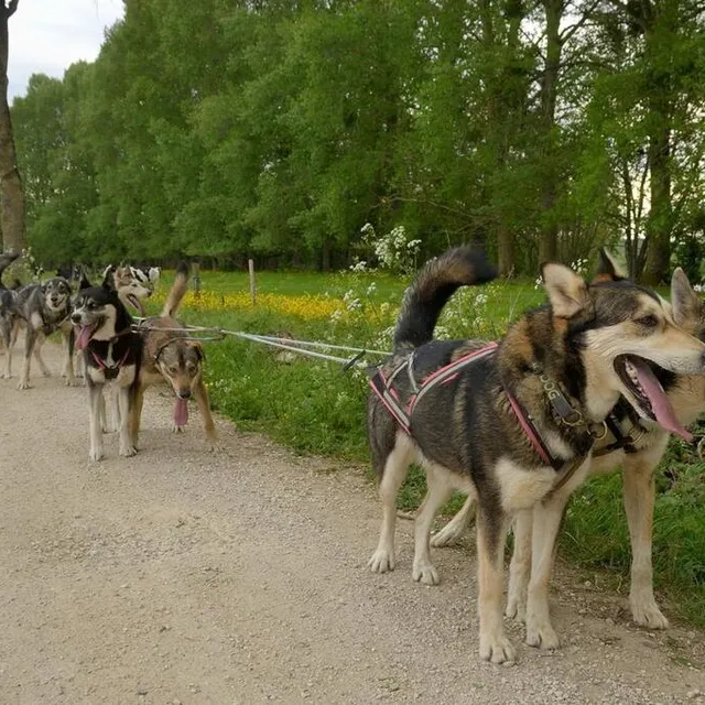 photo petite halte à deux pas de la sèvre.  ©  co