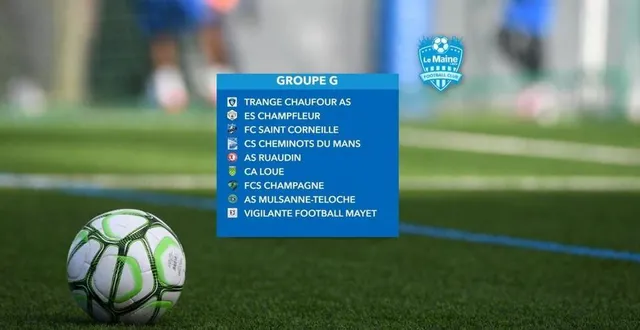 photo  neuf équipes sont en lice dans le groupe g du tournoi virtuel lancé par le maine libre. pour laquelle allez-vous voter ?  &copy;  illustration le maine libre 