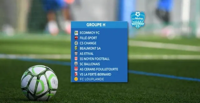 photo  dix équipes sont en lice dans le groupe h du tournoi virtuel lancé par le maine libre. pour laquelle allez-vous voter ?  &copy;  illustration le maine libre 