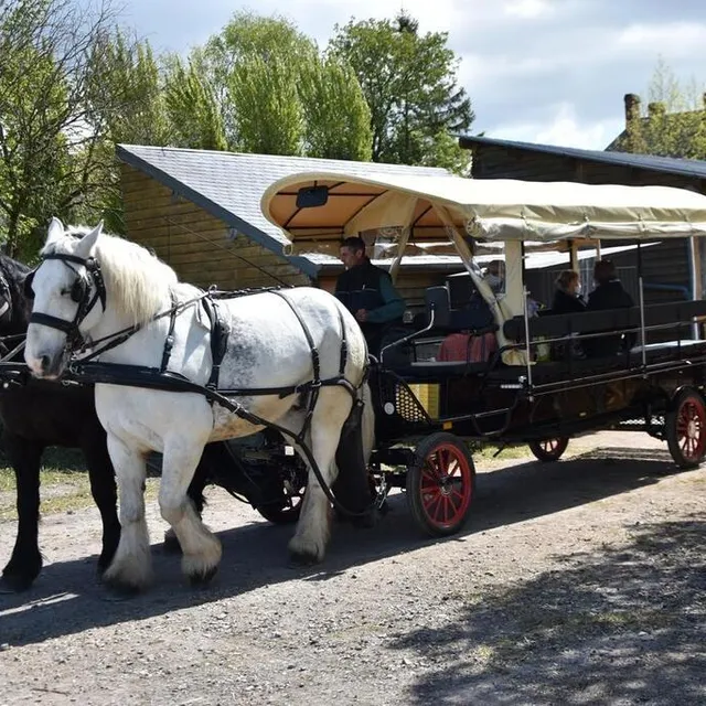 photo stéphane alenne mène la calèche municipale.  ©  ouest-france