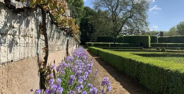 photo  une allée menant aux charmilles.  &copy;  le maine libre 