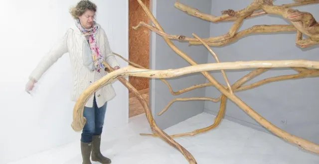 photo  anne deshaies : « chaque lieu redimensionne un travail et invite à choisir des matériaux ; ces branches, j’ai choisi de les installer ici, telle une chevauchée fantastique, imaginaire, éphémère… »  &copy;  ouest-france 