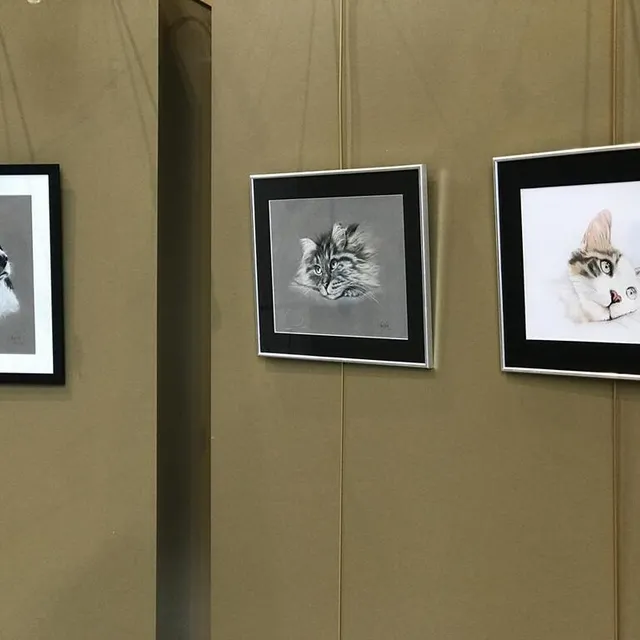 photo dans un style figuratif très réaliste, corinne mercier propose près d’une quinzaine de portraits d’animaux.  ©  ouest-france