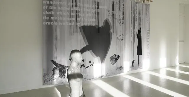 photo  l’exposition « a scenario for a silent play » est visible jusqu’au 19 janvier à la galerie les bains-douches, dans le quartier de courteille.  &copy;  dr 