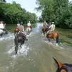 photo des randos à cheval, à pied ou encore à vélo sont possibles dans de nombreux endroits de la sarthe.