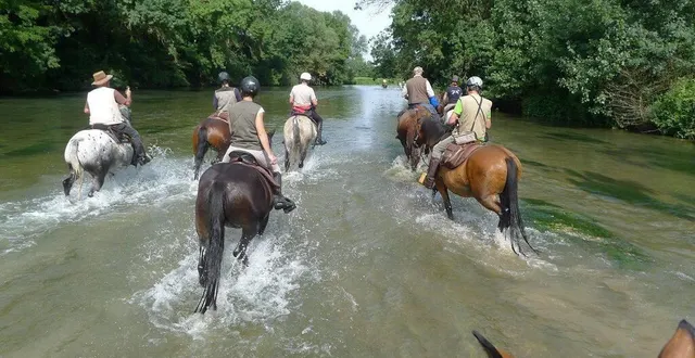 photo  des randos à cheval, à pied ou encore à vélo sont possibles dans de nombreux endroits de la sarthe.  &copy;  archives ouest-france 