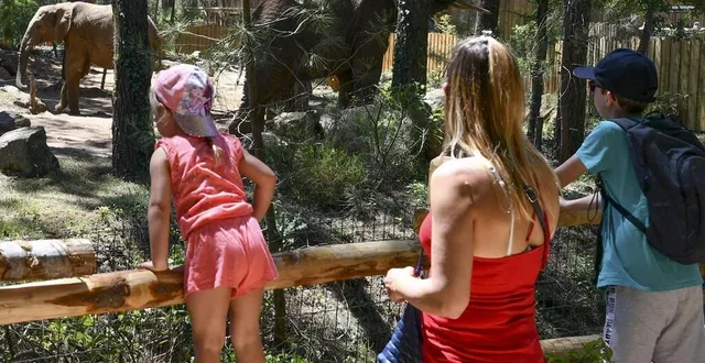 photo  la réservation sera obligatoire à compter du samedi 22 mai pour pouvoir accéder au parc.  &copy;  archives le maine libre – yvon loue 