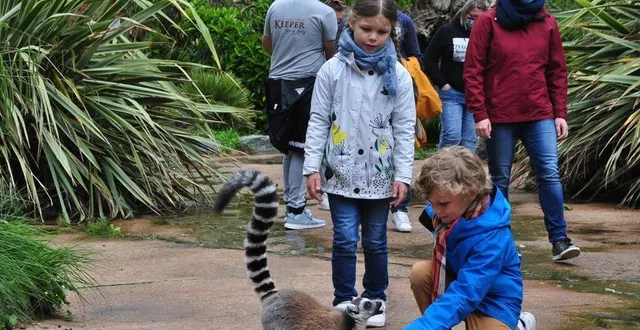 photo  le zoo de la flèche, une première pour malo et maelie, venus de normandie avec leurs parents yoann et sandrine.  &copy;  le maine libre 