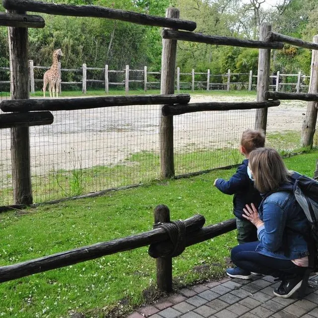photo léopold, 3 ans, ici avec sa maman, est très impressionné par les grands animaux, comme les girafes.  ©  le maine libre