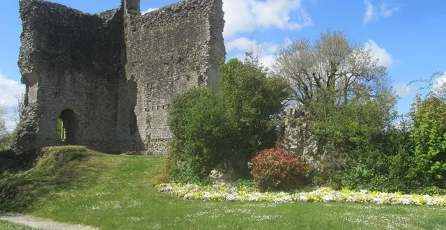 photo  le château de domfront-en-poiraie, dans l’orne, devrait être mis en valeur par un projet touristique de grande ampleur.  &copy;  ouest-france 