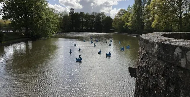 photo  les cygnes en origami qui se baignent dans le lac du château de flers (orne) sont l’œuvre du plasticien antoine milian.  &copy;  ouest-france 