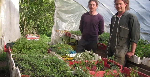 photo  yoan noël (à gauche) et émilien houssaye : « au-delà de la production de légumes, dans ce collectif, notre mission est de proposer au départ des produits de base (carottes, poireaux, choux rouges et verts oignons, navets, radis noirs, tomates cerises, poivrons), pour participer à l’éducation à l’alimentation en produits frais bio et de production locale en collectivité »  &copy;  ouest-france 
