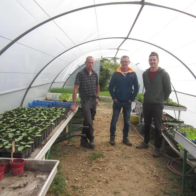 photo de gauche à droite : sébastien villette, gilles delaunay et samuel laforge dans le tunnel à semis. pour sébastien, « ette année, c’est compliqué. les conditions climatiques ne sont pas favorables à un démarrage ; je suis seul et cultive sur un hectare pour la production de légumes, dont 10/20 % sous serre, le reste en plein champ ».  ©  ouest-france