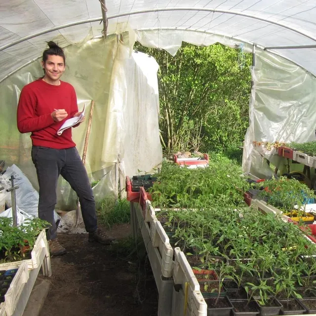 photo samuel laforge, lors d’un suivi chez un des producteurs de la filière, à la fermeautour du potager, ici dans le tunnel à semis de plants destinés à la production des légumes pour la filière légumière.  ©  ouest-france