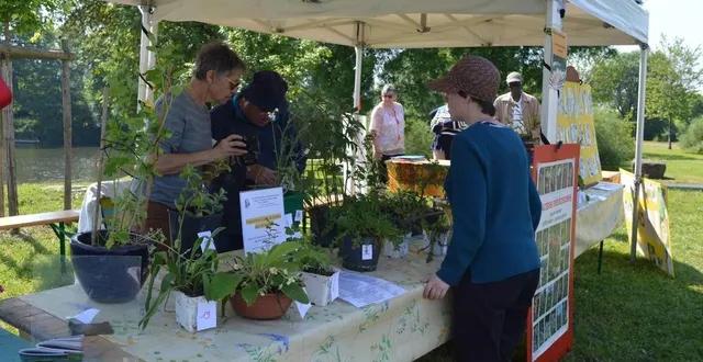 photo  rendez-vous dimanche, de 10 heures à 18 heures, sur l’île moulinsart pour la journée « gros plan(t) ».  &copy;  archives le maine libre 