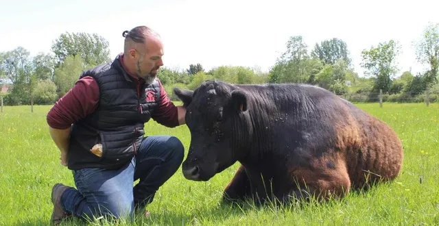 photo  depuis 2017, william bouquerel élève des black angus.  &copy;  ouest-france 
