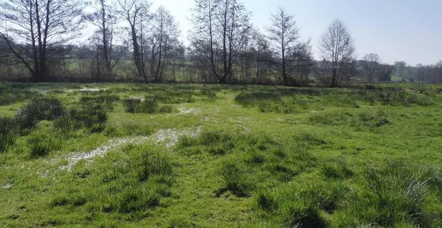 photo  une zone humide n’est pas forcément spectaculaire, mais elle joue un rôle majeur pour l’environnement.  &copy;  archives 