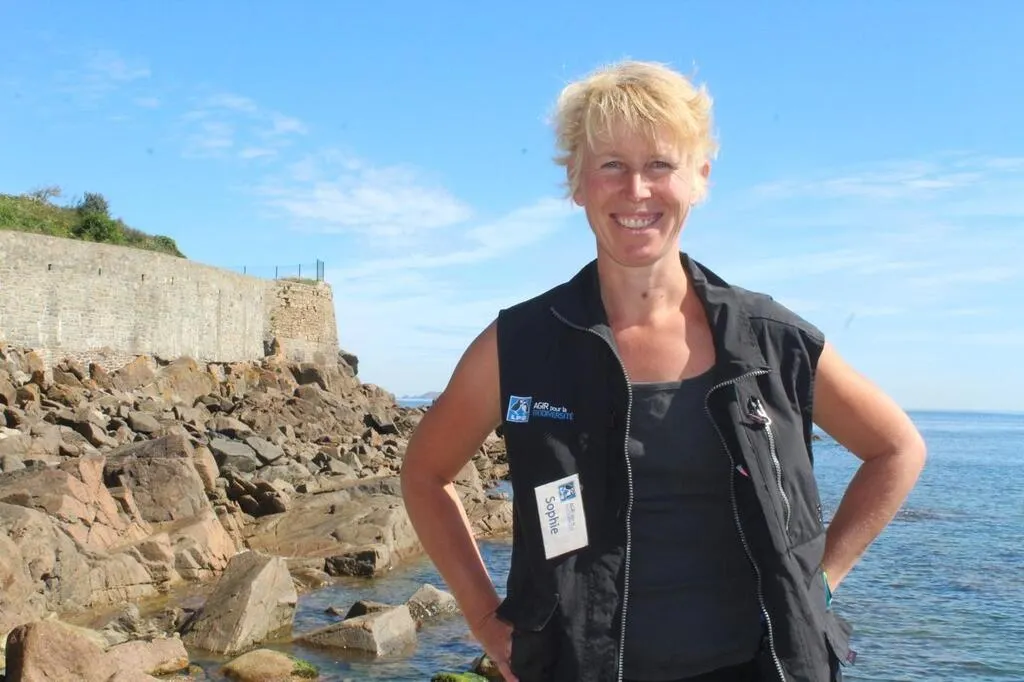 PerrosGuirec. Au large de PerrosGuirec, à la découverte de l’île aux