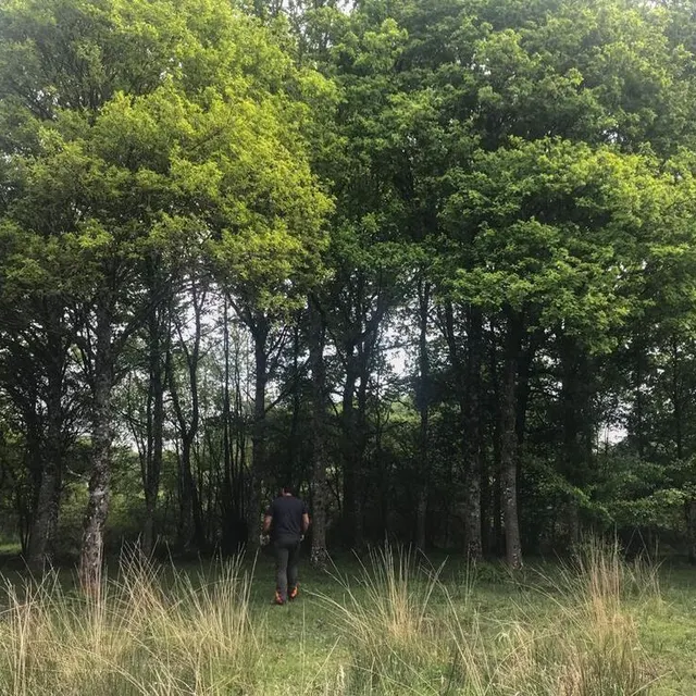 photo dès cet automne, un chemin va être construit afin de permettre aux visiteurs de s’enfoncer davantage dans le marais.  ©  ouest-france