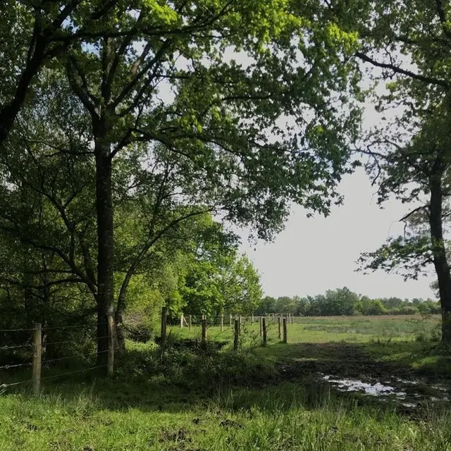 photo une grande partie du marais du grand-hazé est fermée par une douzaine de kilomètres de clôture, à moitié sous les eaux.  ©  ouest-france