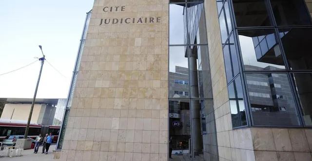 photo  le tribunal a condamné l’homme à 24 mois de prison dont 6 avec sursis.  &copy;  photo archives le maine libre 