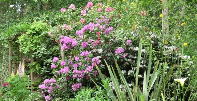 photo  le jardin du bois fleuri ouvrira pour la 18e édition des rendez-vous aux jardins.  &copy;  le maine libre 