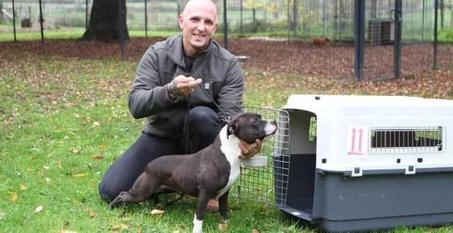 photo  henri bouillault propose diverses prestations aux propriétaires de chiens lof.  &copy;  le maine libre 