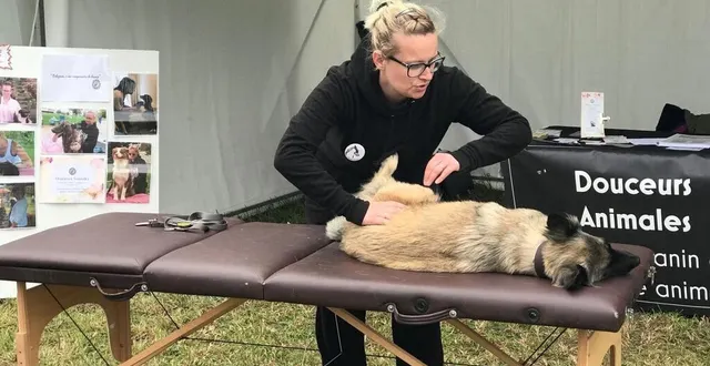 photo  raphaëlle falaize en pleine démonstration de massage canin.  &copy;  ouest-france 