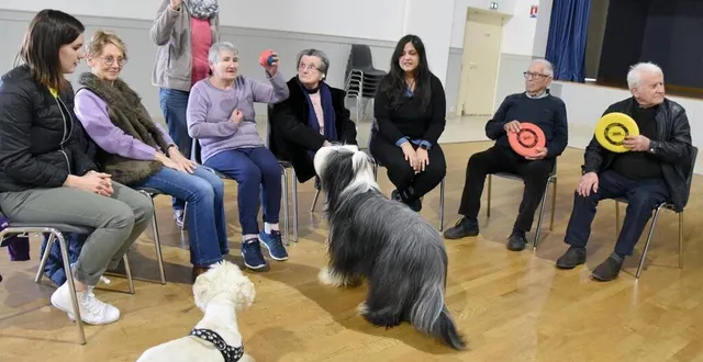 photo  les deux chiens n’ont pas eu de mal à susciter l’attention des participants.   &copy;  le maine libre 