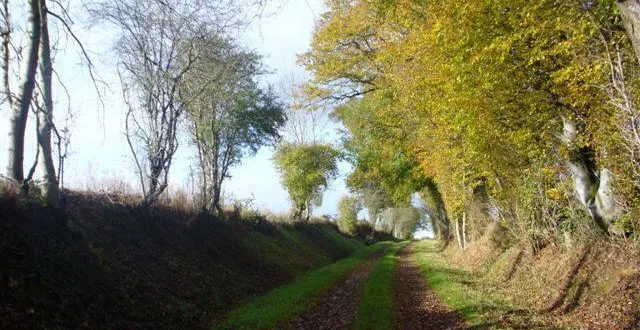 photo  protéger les haies pour protéger faune et flore, un enjeu compris de tous, y compris des agriculteurs.  &copy;  archives ouest-france 