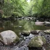 photo en bas, dans les gorges, coule la rivière la rouvre.