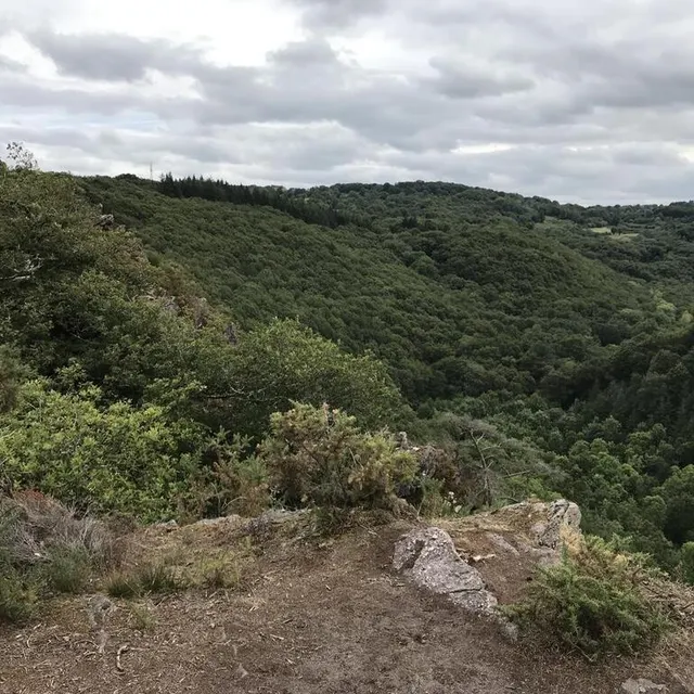 photo entre le haut du précipice et les gorges, le paysage est très marqué au niveau de la végétation.  ©  ouest-france