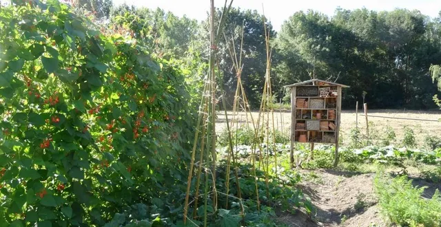 photo  le jardin du partage est situé avenue de la pléiade (accès par le pont de l’école).  &copy;  le maine libre 