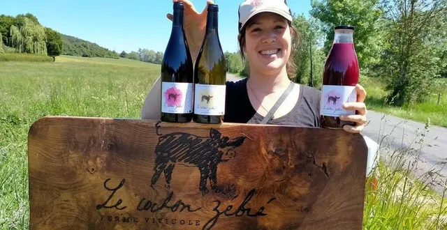 photo  maude cochonneau, de la ferme viticole le cochon zébré, s’illustre dans la production de vins de qualité, mais aussi des jus bio et des céréales bio.  &copy;  ouest-france 