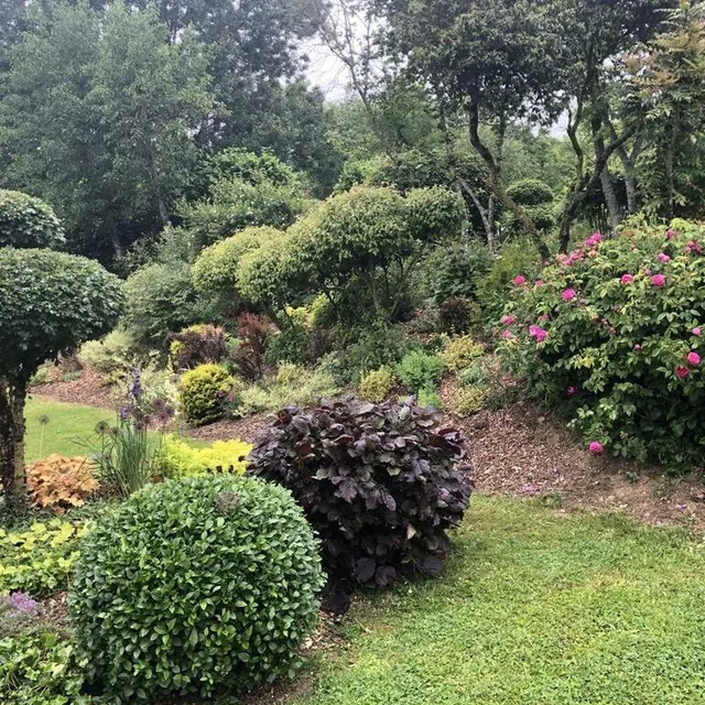 photo la taille en transparence permet des perspectives.  ©  le maine libre